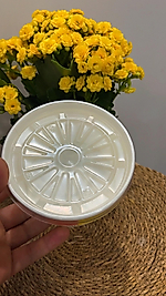 16 oz karton çorba takımı 25 adetli